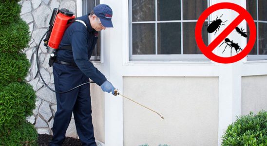 Kemeraltı Tahtakurusu İlaçlama böcek ilaçlama ve haşere kontrolü — ilaclama-tr.com